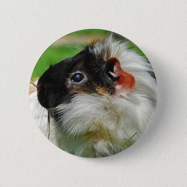 Badge Rond 5 Cm Cobaye Chewie (Devant)