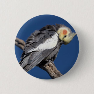 Badge Rond 5 Cm Cockatiel