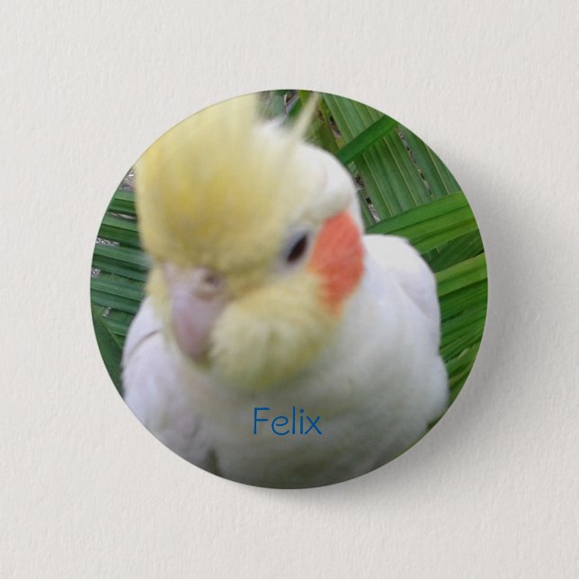 Badge Rond 5 Cm Cockatiel (Devant)