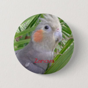 Badge Rond 5 Cm Cockatiel