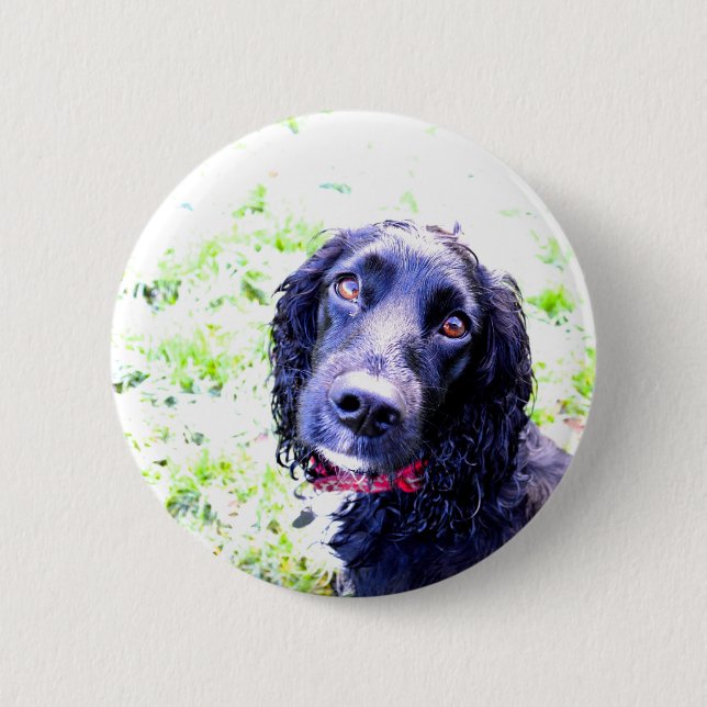 Badge Rond 5 Cm Cocker Spaniel (Devant)