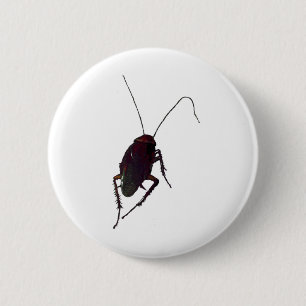 Badge Rond 5 Cm Cockroach croquant