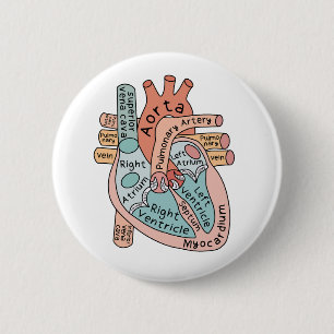 Badge Rond 5 Cm Coeur anatomique, soins infirmiers cardiaques
