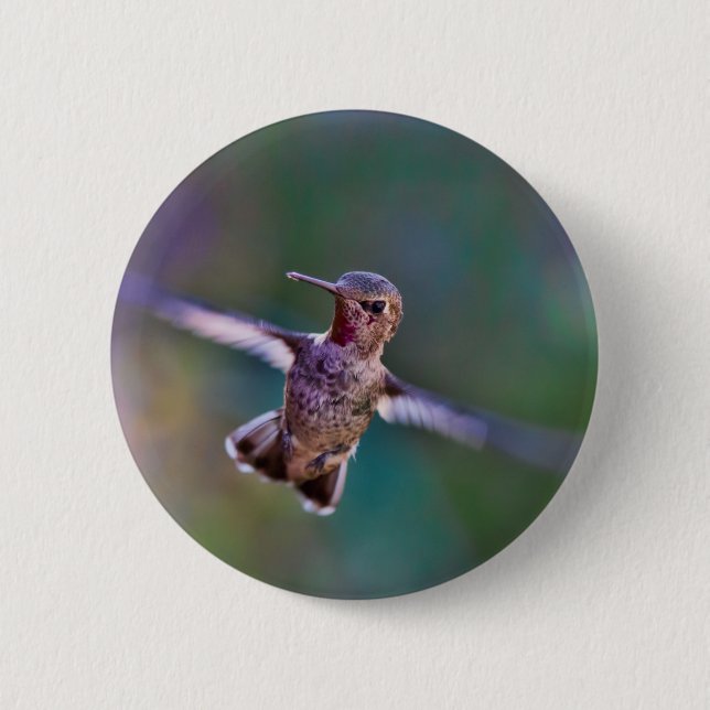 Badge Rond 5 Cm Colibri (Devant)