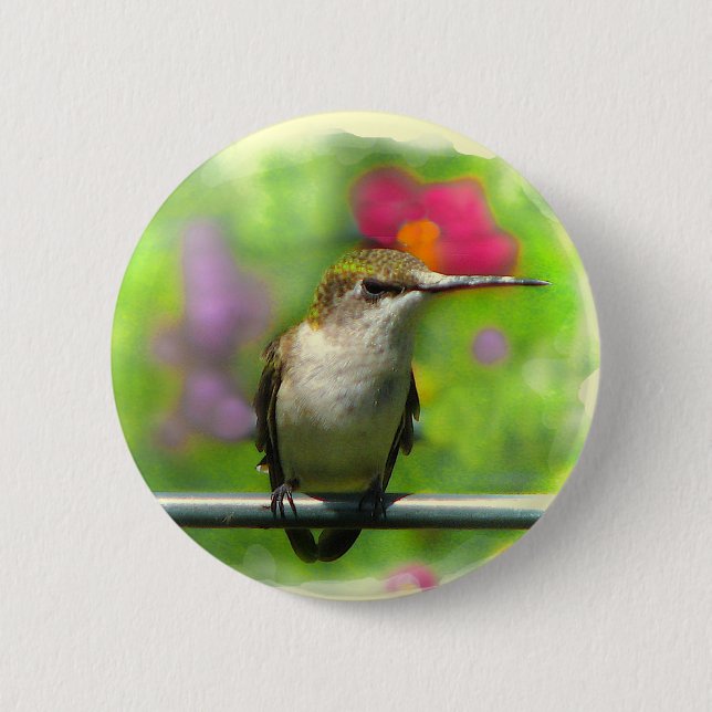 Badge Rond 5 Cm Colibri (Devant)