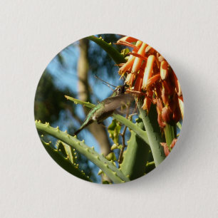 Badge Rond 5 Cm Colibri à gorge noire en vol
