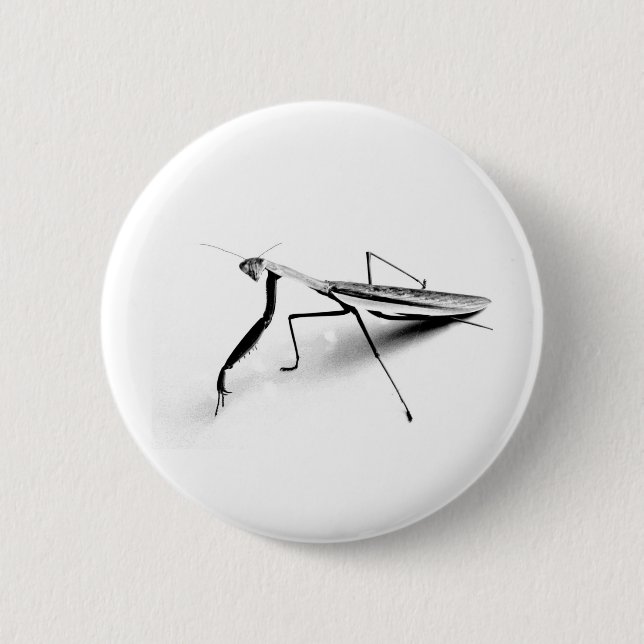 Badge Rond 5 Cm Collection de mante de prière (Devant)