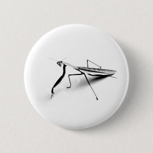 Badge Rond 5 Cm Collection de mante de prière
