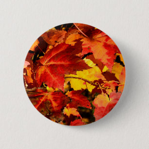 Badge Rond 5 Cm Coloré Feuilles d'automne orange rouge jaune coule