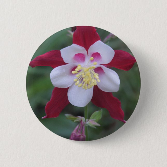 Badge Rond 5 Cm Columbine (Devant)