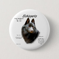 Conception de l'historique de Schipperke