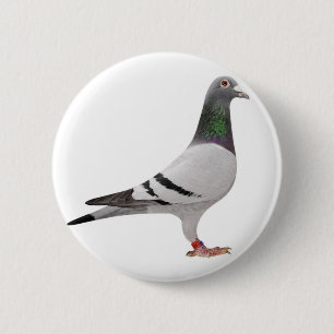 Badge Rond 5 Cm conception de pigeon