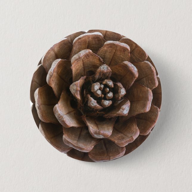 Badge Rond 5 Cm Cône de pin (Devant)