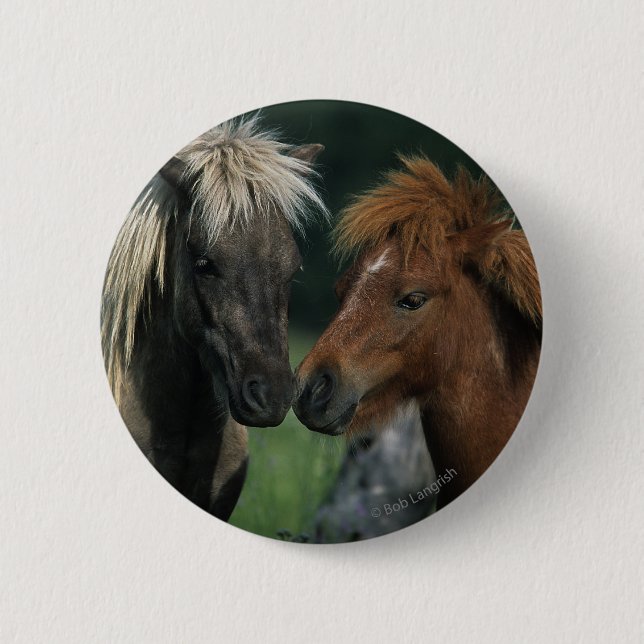 Badge Rond 5 Cm Contact miniature de chevaux (Devant)