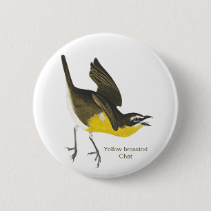 Badge Rond 5 Cm Conversation à poitrine jaune, Audubon, Paruline