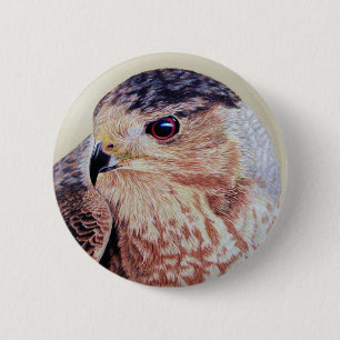 Badge Rond 5 Cm Coopers Hawk
