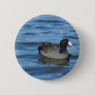 Badge Rond 5 Cm Coot américain