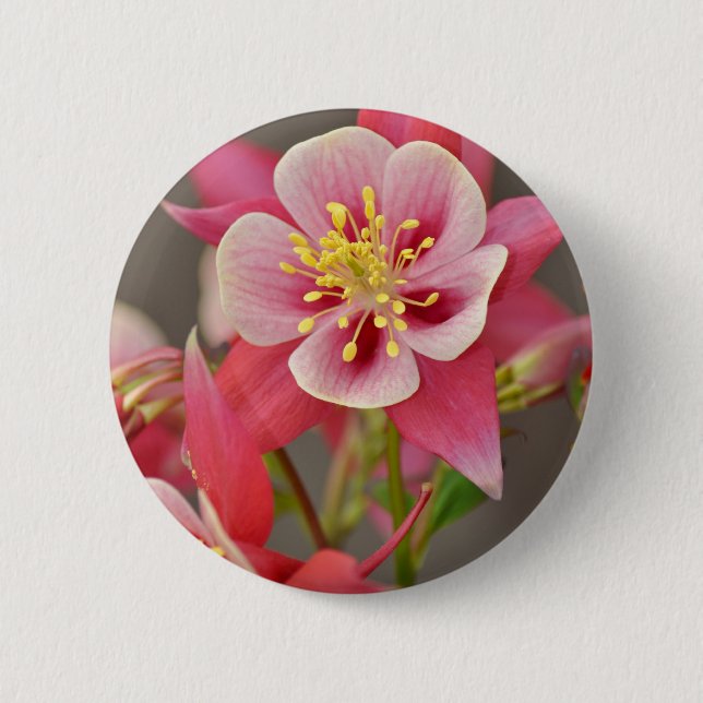 Badge Rond 5 Cm Copie colombine rose de fleur (Devant)