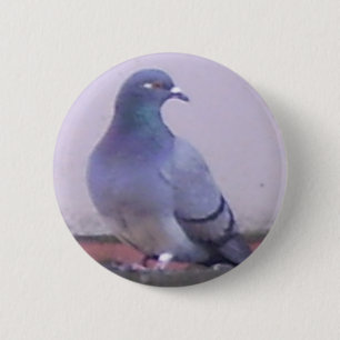 Badge Rond 5 Cm Copie de pigeon