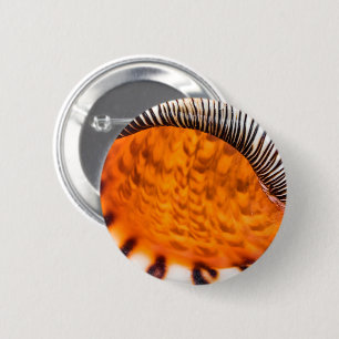 Badge Rond 5 Cm Coquillage hypnotique