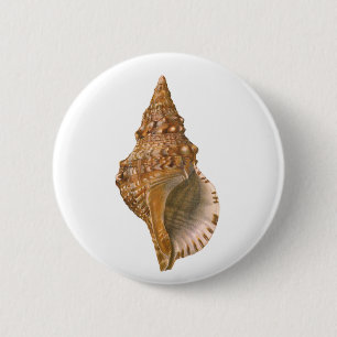Badge Rond 5 Cm Coquille de Triton vintage, animal marin de l'océa