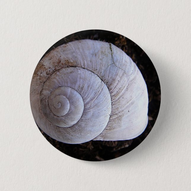 Badge Rond 5 Cm Coquille d'escargot cool (Devant)