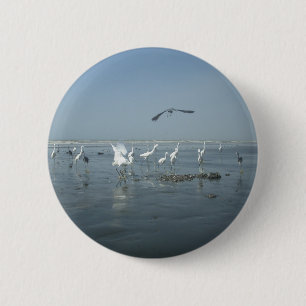 Badge Rond 5 Cm Corneille noire et grues blanches : un contraste d