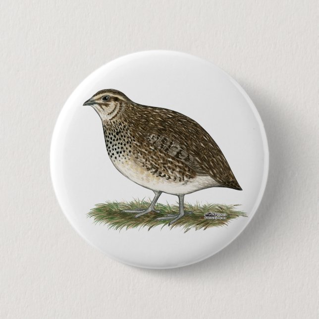 Badge Rond 5 Cm Coturnix Quail (Devant)