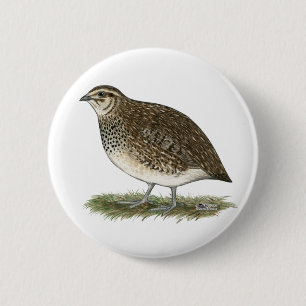 Badge Rond 5 Cm Coturnix Quail
