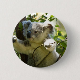 Badge Rond 5 Cm Coucou de Koala