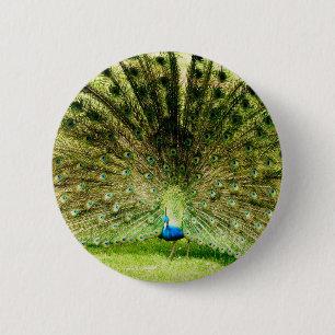 Badge Rond 5 Cm Couleurs d'affichage de paquetage