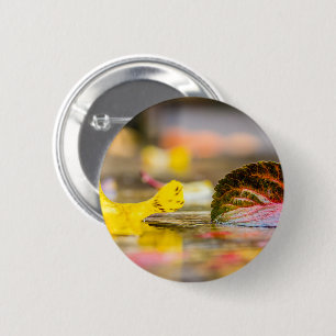Badge Rond 5 Cm Couleurs d'automne