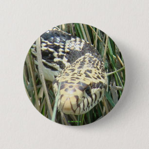 Badge Rond 5 Cm Couleuvre R4 Bull Snake