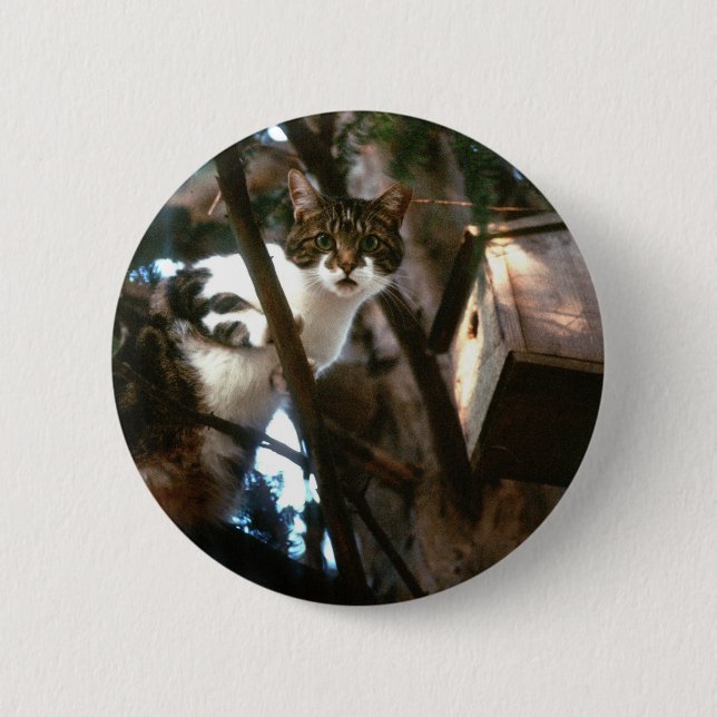 Badge Rond 5 Cm Coupable ! (Devant)