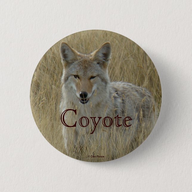 Badge Rond 5 Cm Coyote R2 dans les hautes herbes (Devant)