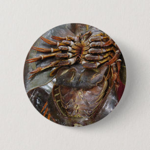 Badge Rond 5 Cm Crabe à fer à cheval ... Restauration asiatique th