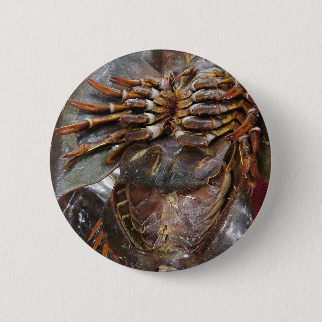 Badge Rond 5 Cm Crabe à fer à cheval ... Restauration asiatique th (Devant)