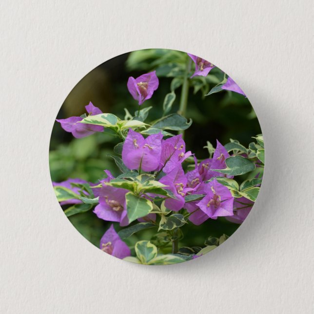 Badge Rond 5 Cm Crêpe et Myrte variés pourpres (Devant)