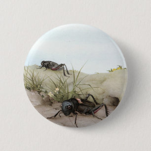 BADGE ROND 5 CM CRICKET DE THE FIELD