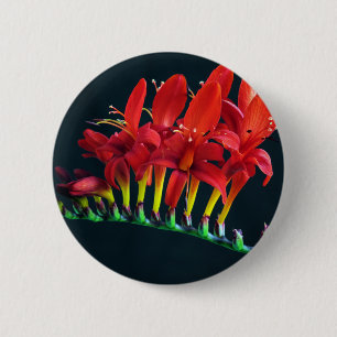 Badge Rond 5 Cm Crocosomie Lucifer Montbretia Floral
