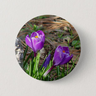 Badge Rond 5 Cm Crocus dans le bouton de fleur