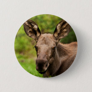 Badge Rond 5 Cm Curious Moose