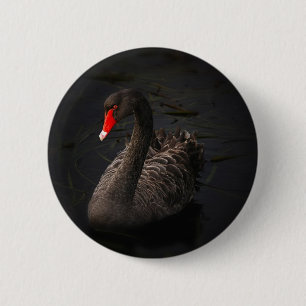 Badge Rond 5 Cm Cygne noir