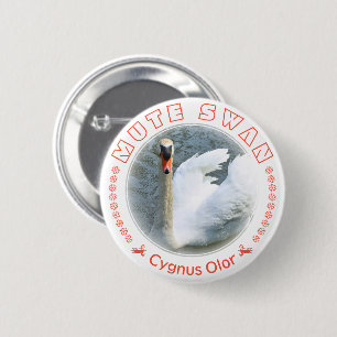 Badge Rond 5 Cm Cygne tuberculé