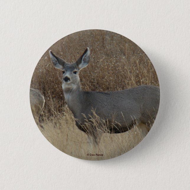 Badge Rond 5 Cm D14 Mule Deer Doe (Devant)