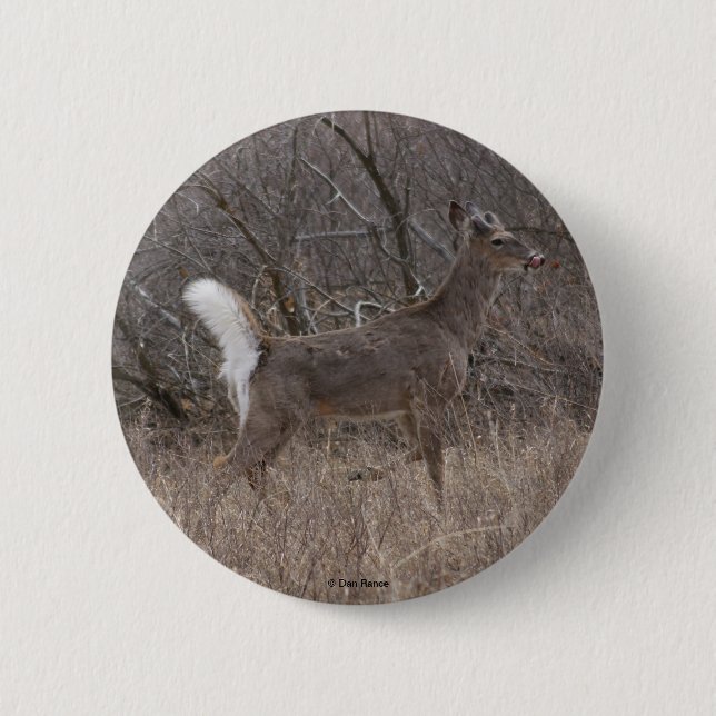 Badge Rond 5 Cm D1 Cerf à queue blanche (Devant)