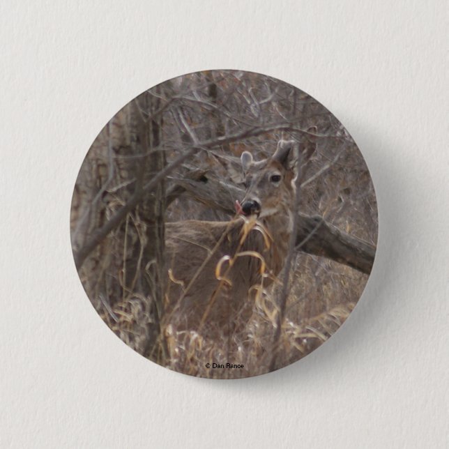 Badge Rond 5 Cm D2 Cerf à queue blanche (Devant)