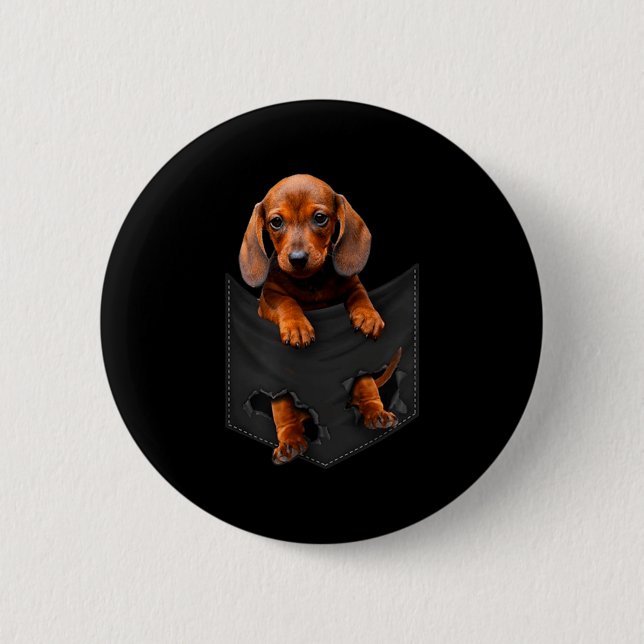 Badge Rond 5 Cm Dachshund In My Cket  (Devant)