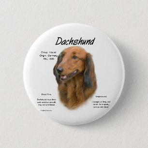 Badge Rond 5 Cm Dachshund (longhair) Conception de l'histoire