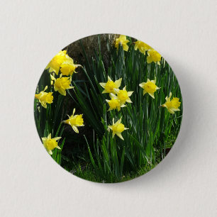 Badge Rond 5 Cm Daffodiques de printemps